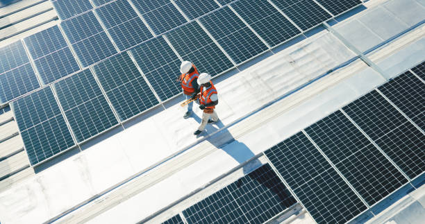 Best Roof Moss and Algae Removal  in Crane, TX