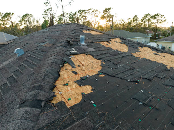 Best Roofing for New Construction  in Crane, TX